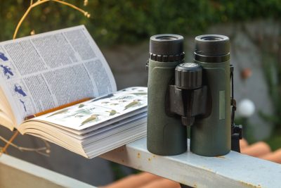 Birding binoculars and handbook on a ledge. 